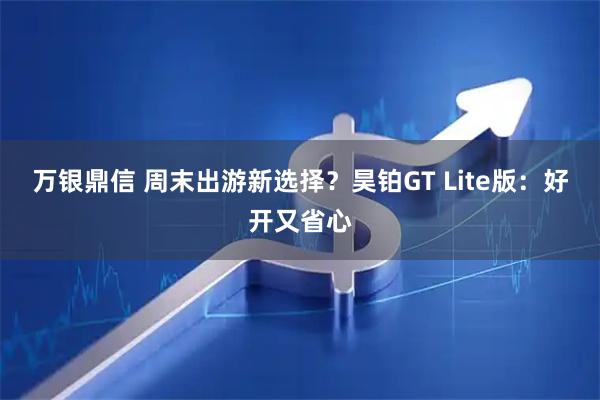 万银鼎信 周末出游新选择？昊铂GT Lite版：好开又省心