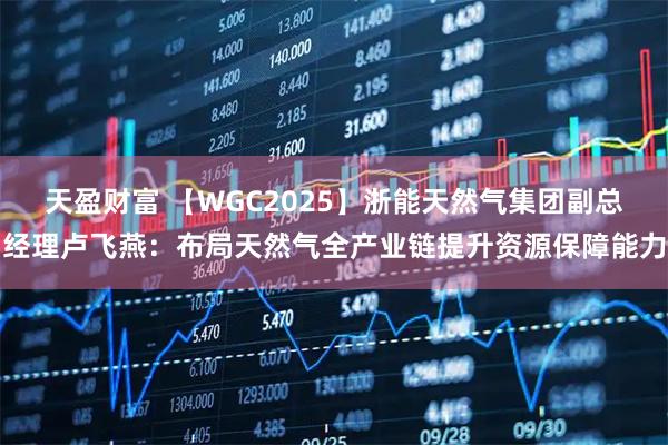 天盈财富 【WGC2025】浙能天然气集团副总经理卢飞燕：布局天然气全产业链提升资源保障能力