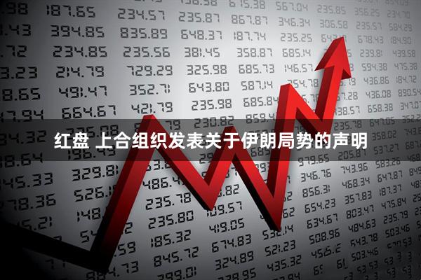 红盘 上合组织发表关于伊朗局势的声明